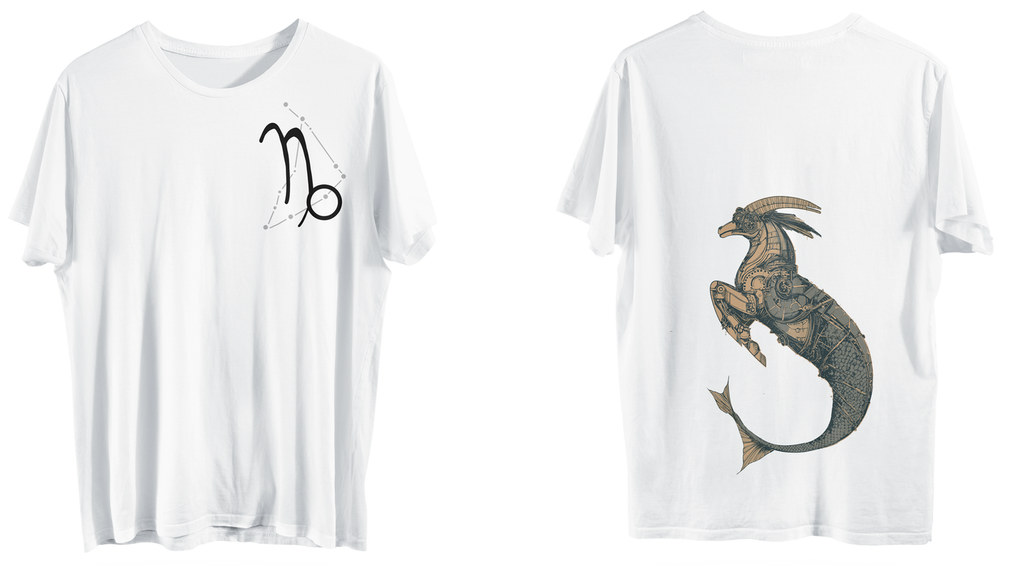 Zodiac Caprcornio
