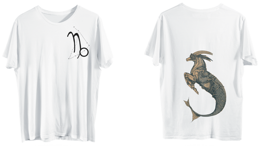 Zodiac Caprcornio